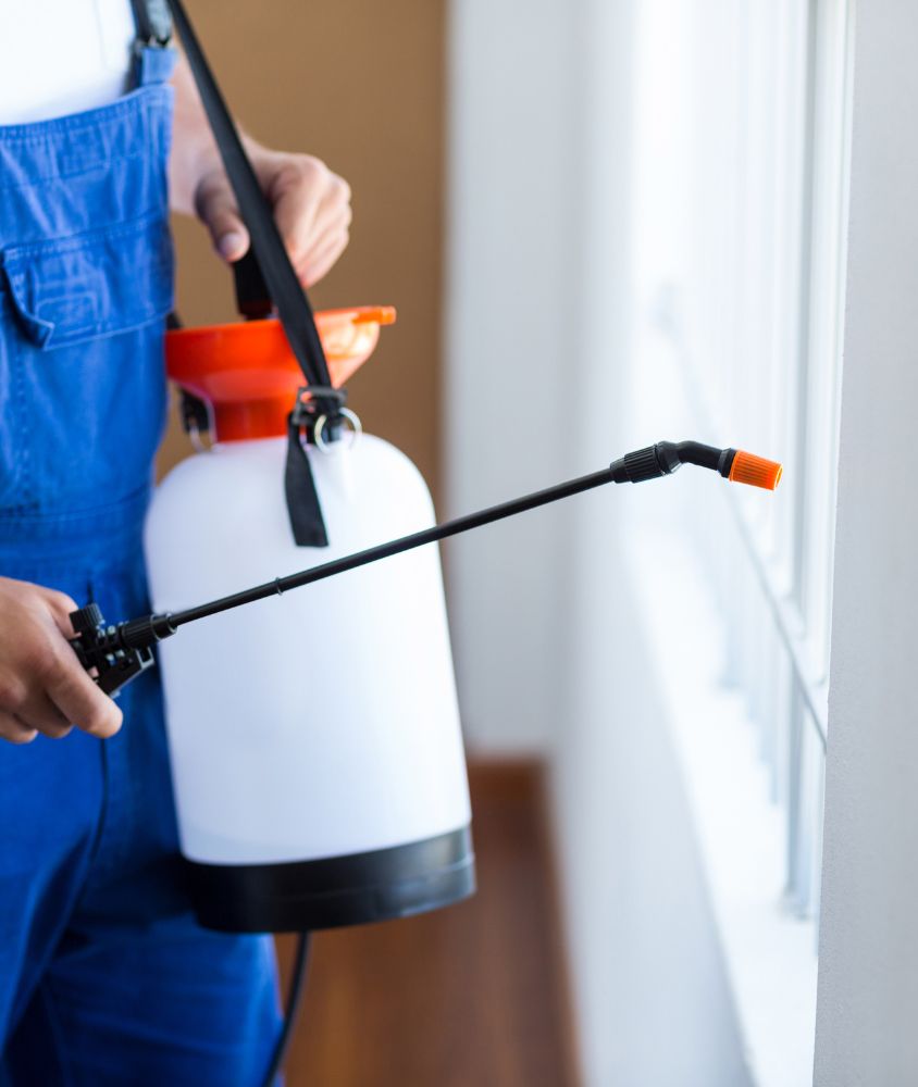 dedetizador em Brasília