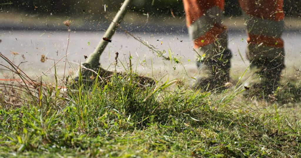 corte de grama em Brasília