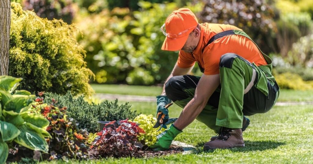 implantação de jardins em Brasília
