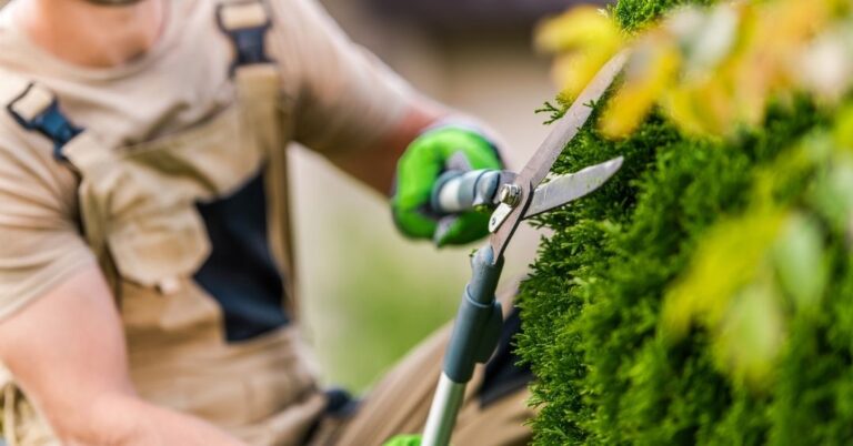 manutenção de áreas verdes em Brasília